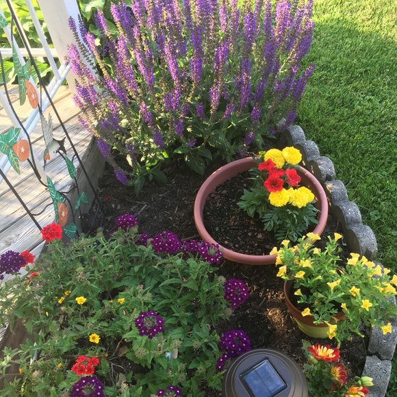 💖Meet your Posher, Eva Like my Closet to Follow! - Picture 5 of 16